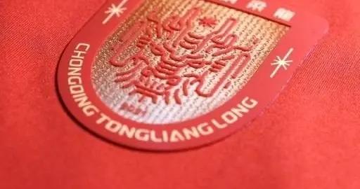 重慶銅梁龍官方：萊昂納多、卡里略、王文軒等5名球員離隊