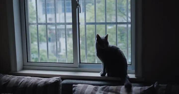 人老了，如果一個人獨居，一定要給自己留哪幾條退路？