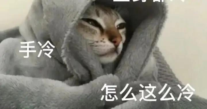 到了挪威才知道自己的秋衣秋褲有多可笑……