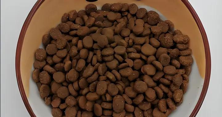 希瑞爾貓糧質量怎麼樣？是否有味道