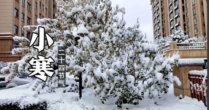 “小寒喫3寶，不往醫院跑”，這3寶潤肺健脾強免疫，全家都受益！