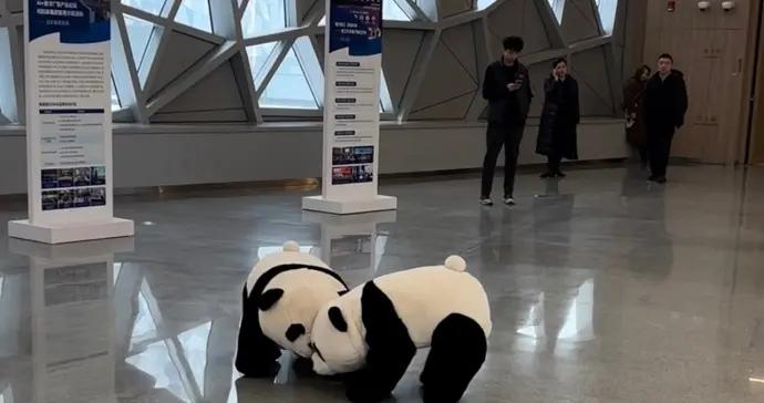 快來看，這畫面絕了！人形機器人正跳舞，兩隻機器熊貓亂入