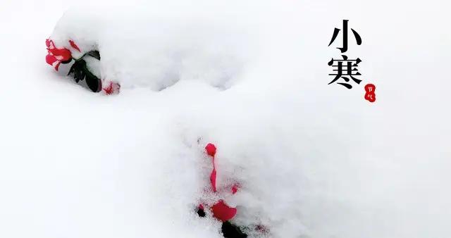 “小寒進補，開春打虎”，今日小寒，有錢沒錢要喫這4樣，補脾胃