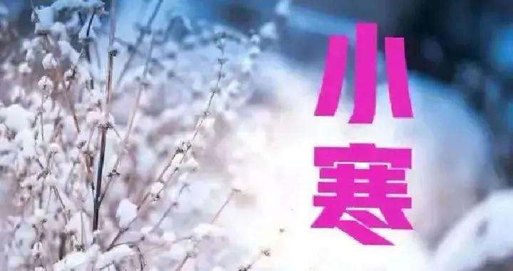 今天小寒，老話說“小寒嘗4寶，冬天不受苦”，哪4寶？別不懂喫