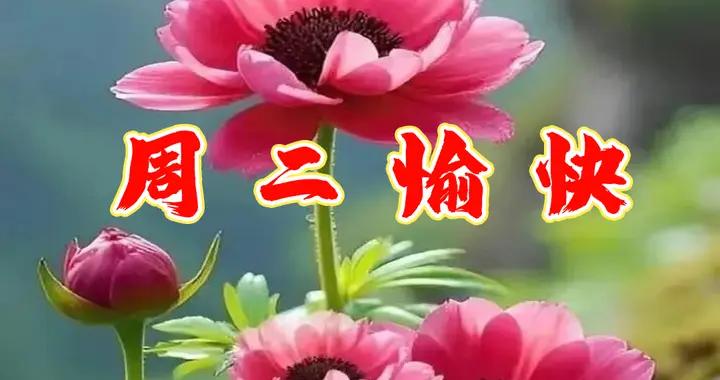 週二早安問候美圖|真情在聯繫中相守，安康在笑聲中擁有