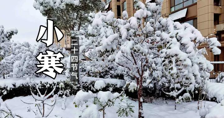 “小寒喫3甘，一年病不沾”，多喫3種甘味，健脾胃養氣血、強免疫