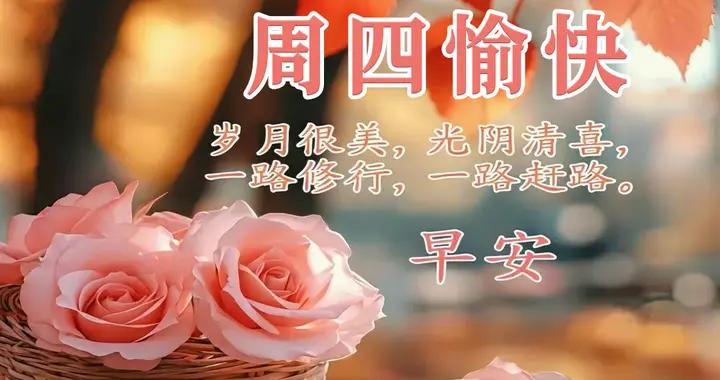 週四早安圖片|一聲問候有情.有意.有祝福。