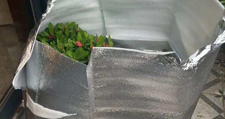 萬萬想不到：常見的外賣保溫袋竟成了過冬好幫手，千萬別扔了