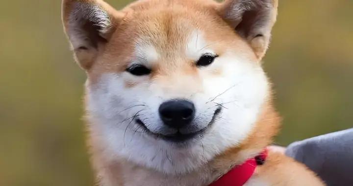 壓箱底的頂級爆笑幽默笑話，梗多笑點足，承包你2026年所有笑點