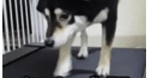 2026年也是體重管理年，繼續加油！