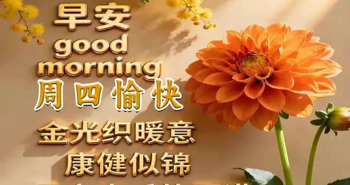 週四早安|清晨諸事順心，午後清閒自在