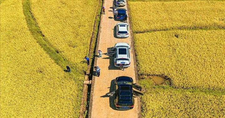 雲南私藏小城，11次榮登養老宜居榜，2月太值得去小住幾天！