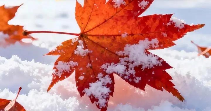 清晨祝福似暖陽，健康幸福伴身旁