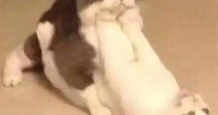 爲什麼說一年四季都用同一款洗髮水，會毀掉你的頭髮？