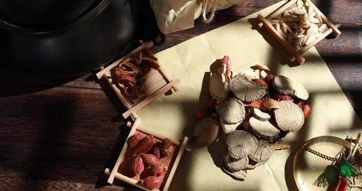 黃芪不能用者換人蔘，柴胡不能用者用麥芽，熟地不能用者用黃精！