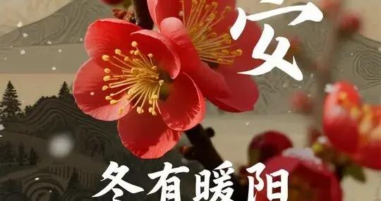 8張精選早晚安美圖｜美好的一天，平安喜樂，好運連連，100%點贊