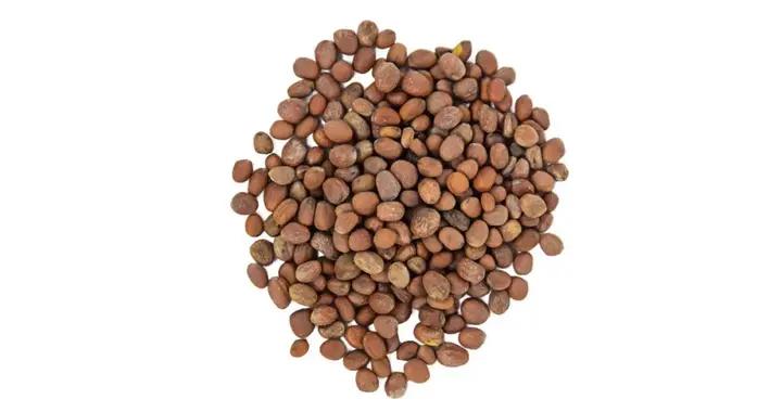 藥食推薦丨消食化痰治便祕的蘿蔔種子