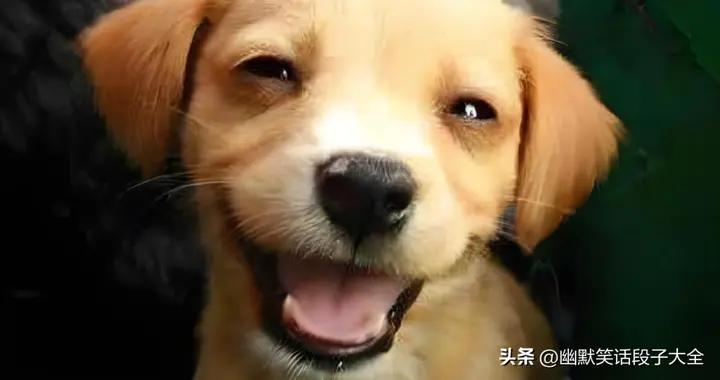 最新爆笑幽默笑話，個個笑點爆棚，今年就指着這些笑話活着了