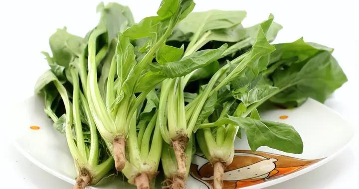 產婦催乳有妙招！這些食物別錯過，營養又下奶，寶寶不愁喫