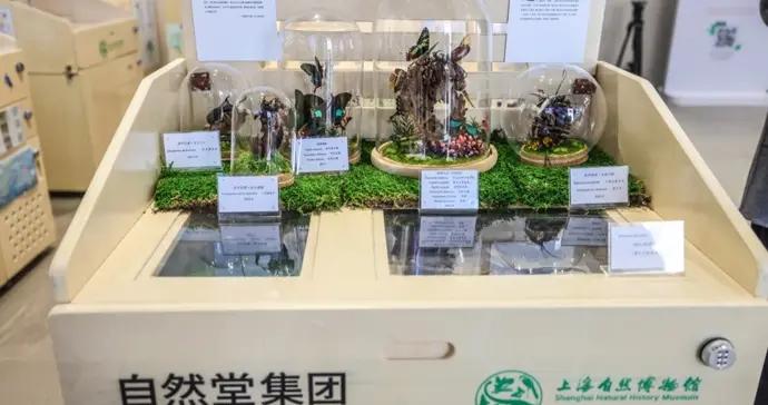 科普教育與美妝產業跨界合作辦展，推動科學傳播從“展廳”走向“生活”