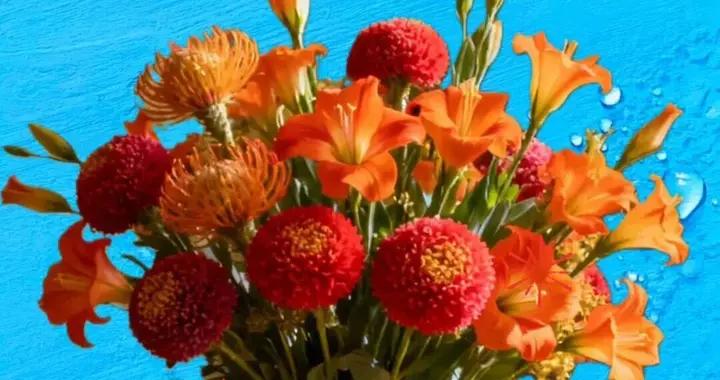 早安，願你日日有確幸，歲歲有常安。