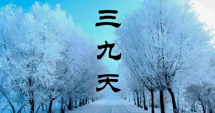 “三九補一冬，來年無病痛”，建議中老年喫4寶，滋補禦寒樂過冬