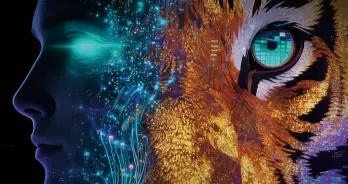 圖靈獎得主姚期智：全世界都知道，全球AI安全治理“沒有中國不行”