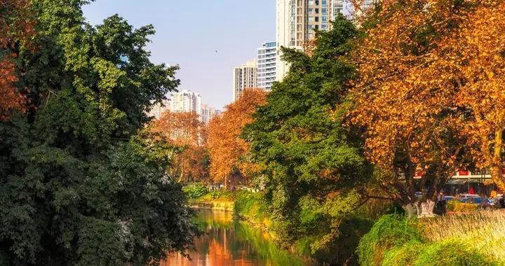 淡季破題 冬韻四川“暖暖的”