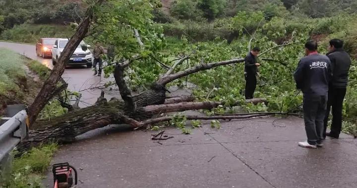 網絡藥理學：中醫藥現代化征途上的破曉之光