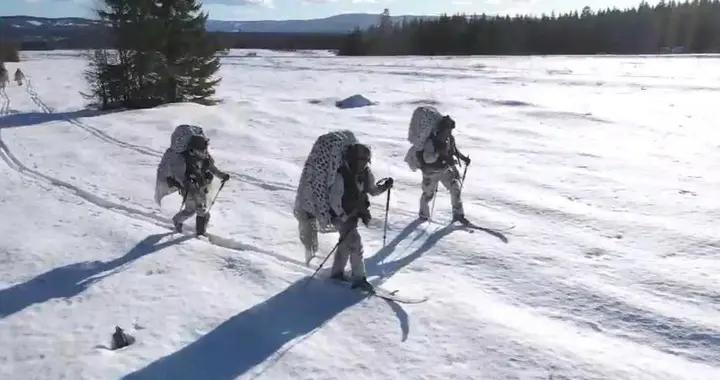 英法德大軍登陸格陵蘭，多達29人，俄國趁機拱火，誓要瓦解北約？