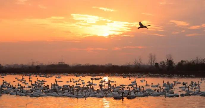 微言 | “鏡” 止傷害：藝術不可凌駕生命之上