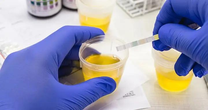 是時候爲你身體裏的屎尿屁正名了！