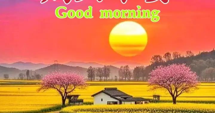 週六早安問候圖片|情義深深珍藏，祝福一如既往