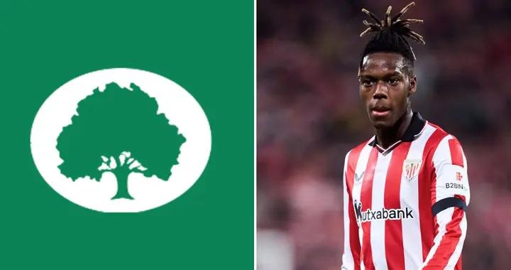 跟隊：橡樹去年曾考慮爲國米籤尼科-威廉斯，但被轉會費嚇退