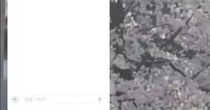 攜程回應“全員收到離職通知”