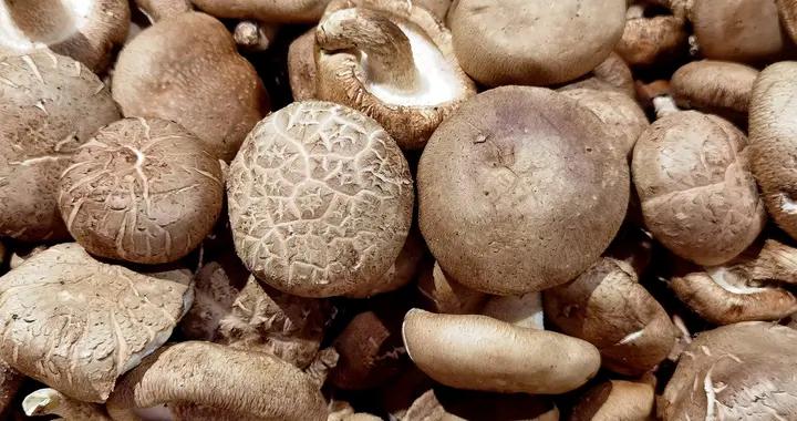 三九天，少喫蘿蔔白菜，多喫4種“黃金菜”，潤燥防寒，增強免疫