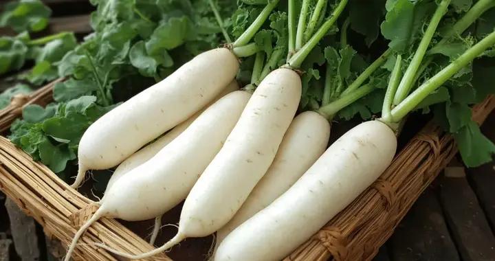 冬天勸你多喫「蘿蔔」，理由不止一個