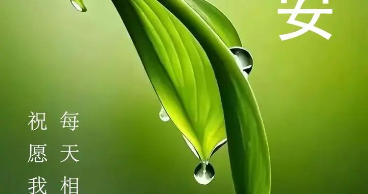 1月14日 星期三早安問候美圖|願我們：無病無災，平安順遂