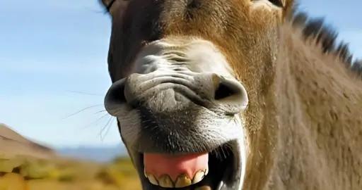 爆笑幽默笑話，看一次笑一次，絕對承包你2026年全年的笑點