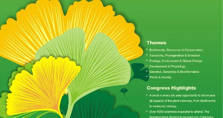 我提議這個公園裏一棵植物都別種，專家們都沉默了……