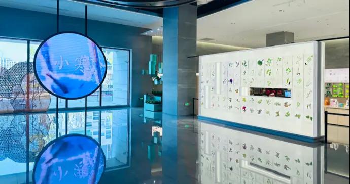 非遺更加“可聞可嘗可感”！浙江非遺館新空間讓二十四節氣養生“活”起來