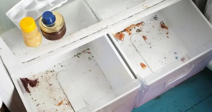 你每天喫的食物，可能正躺在比馬桶髒2400倍的地方......