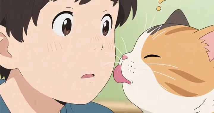 貓主動舔你，竟然藏着這些祕密