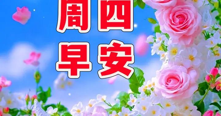 週四早安圖片|微信如鴻雁，穿梭你我間，談的是健康，講的是樂觀