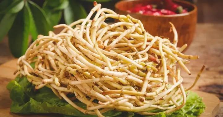 藥食推薦丨雲貴地區清熱解毒的道地藥材