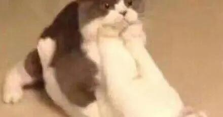 爲什麼說一直都用同一款洗髮水，會毀掉你的頭髮？