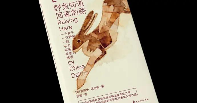 一個女子，一隻野兔，一段不太可能發生的故事