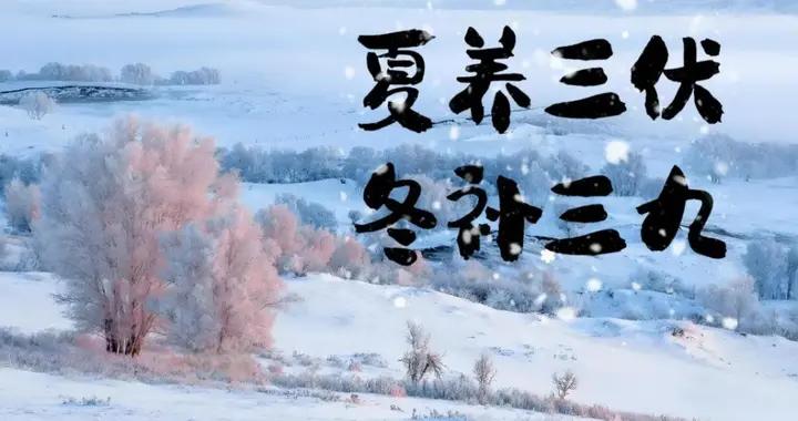 三九天，最該喫不是牛羊肉，而是這4寶，暖胃驅寒，輕鬆過最冷天