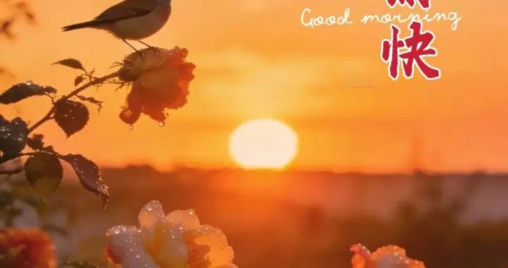 週一早安圖片|新的一天，願你身心自在，快樂吉祥，早安！