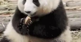 低脂健康的主食推薦，預防肥胖與糖尿病